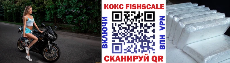 COCAIN Fish Scale  Камышлов 