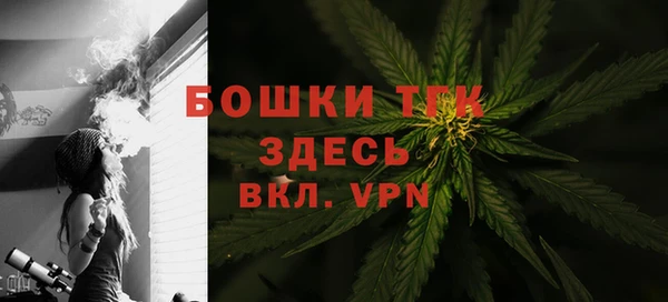 крисы Абаза