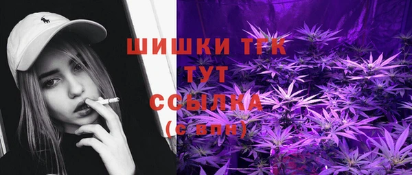 ПСИЛОЦИБИНОВЫЕ ГРИБЫ Приозерск