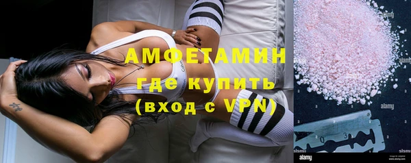 крисы Абаза