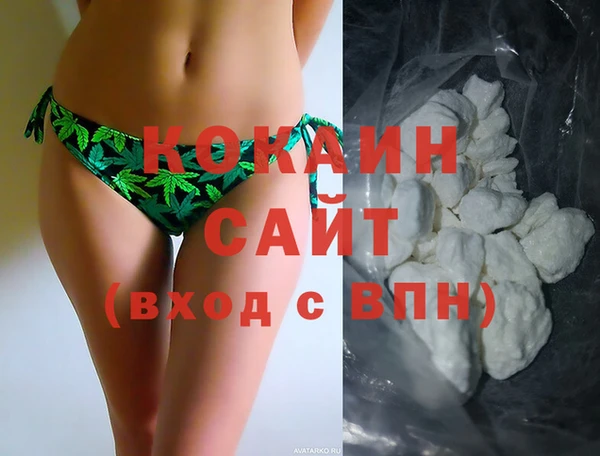 крисы Абаза