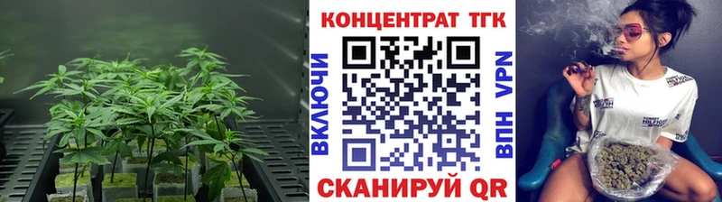 цены   Камышлов  ТГК жижа 