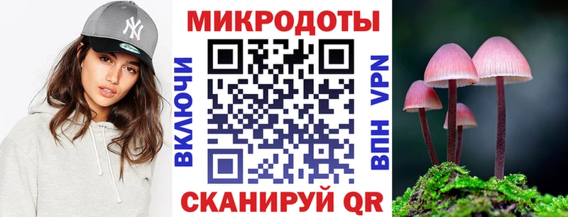 Псилоцибиновые грибы Cubensis  KRAKEN вход  Камышлов  наркота 